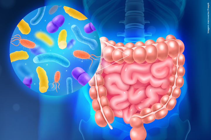 Estudo da Unifesp reforça a importância da microbiota intestinal na