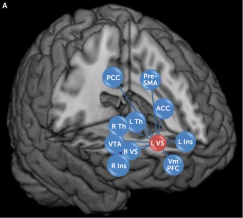 As conexões cerebrais que formam a rede do circuito da recompensa cerebral podem ser um potencial marcador precoce para a depressão na adolescência