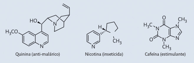 Desenho esquemático de três moléculas: cafeína (estimulante), quinina (anti-malárico) e nicotina (inseticida)