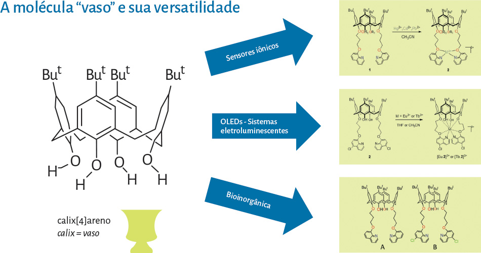 Infográfico - A molécula “vaso” e sua versatilidade: sensores iônicos, OLEDs - sistemas eletroluminescentes, bioinorgânica