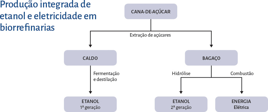 Infográfico 'Produção integrada de etanol e eletricidade em biorrefinarias'