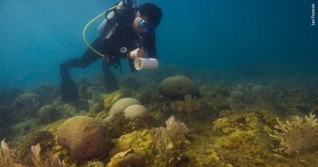 Imagem de um mergulhador no fundo do mar, com um aparato de anotações