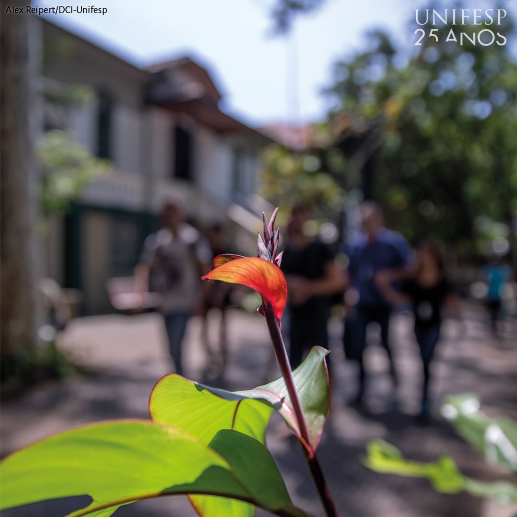 Fotografia de um grupo de pessoas ao fundo desfocadas, e em primeiro plano, uma flor