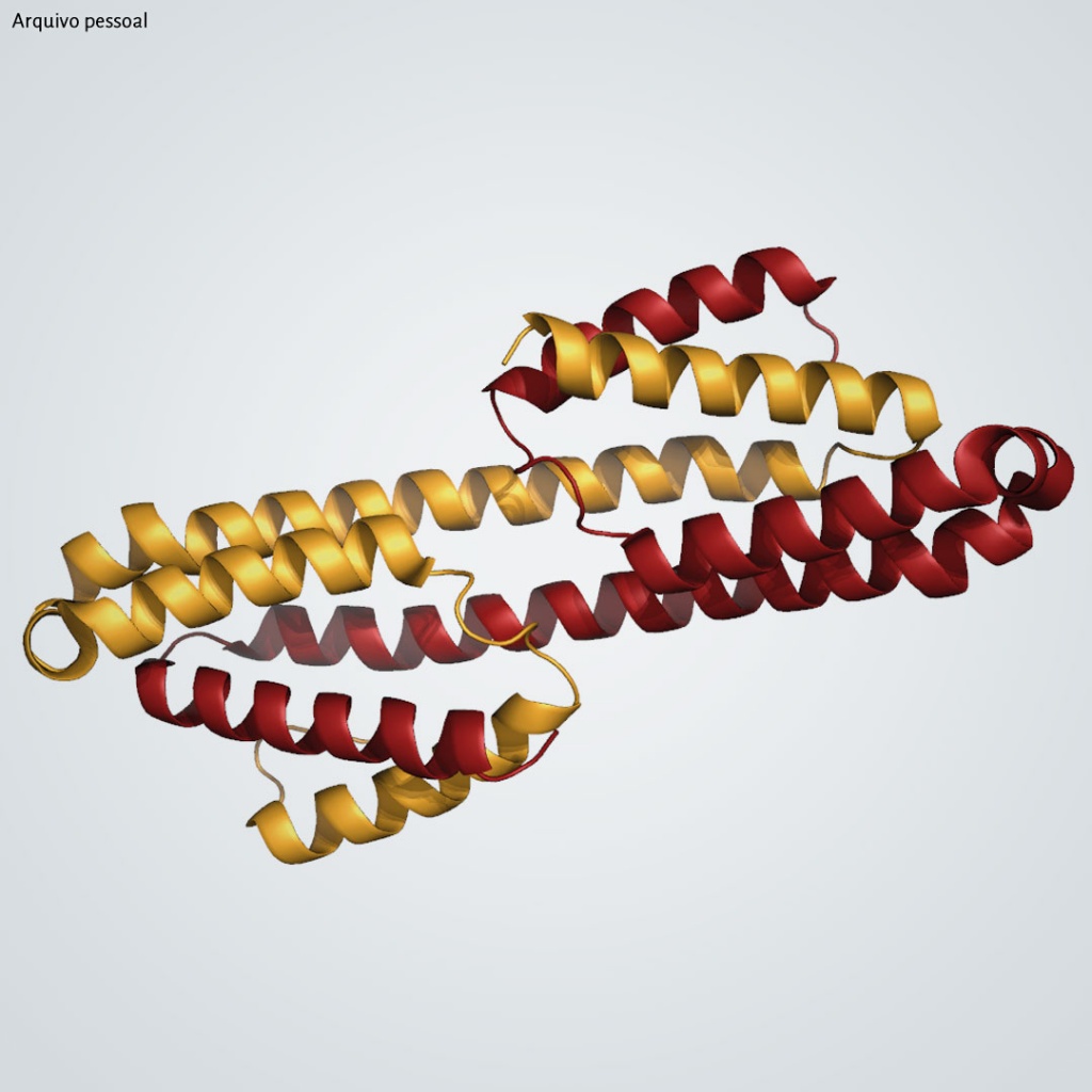 Entreteses11 p102 proteina