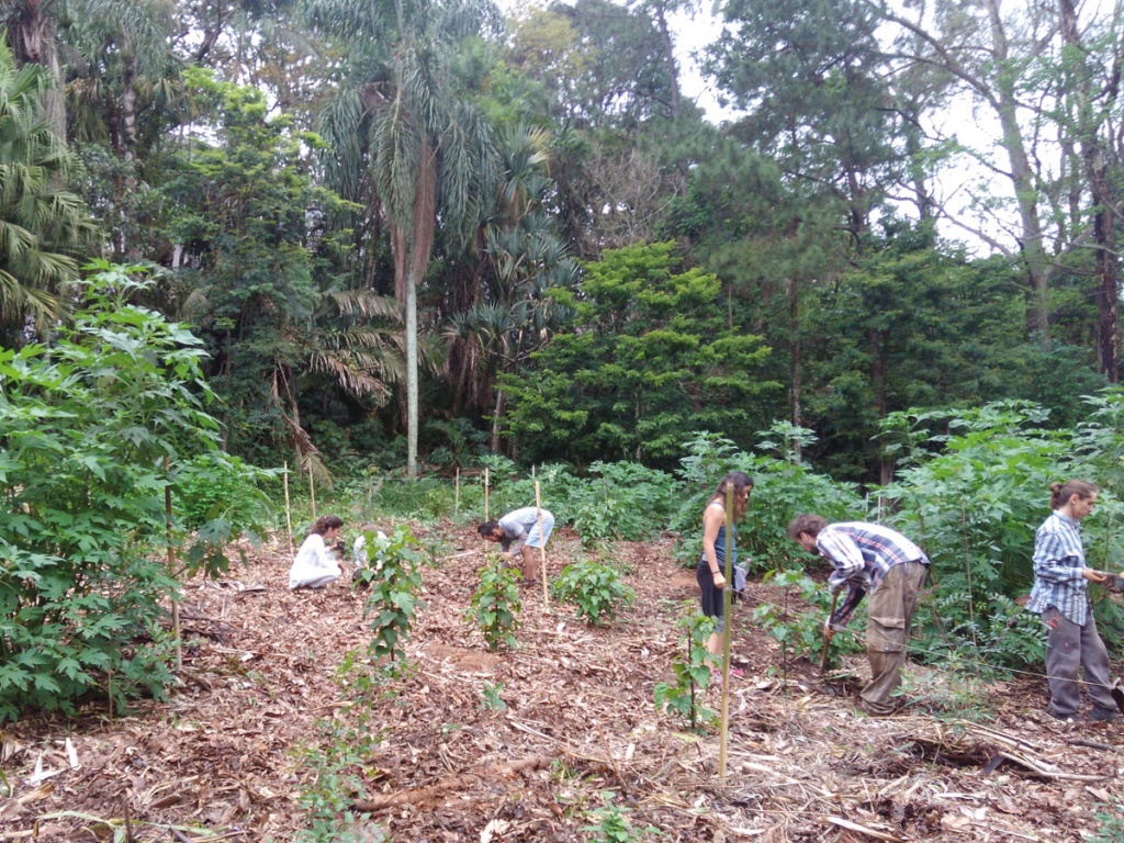 Entreteses086 Plantio com alunos da UNIFESP out2018