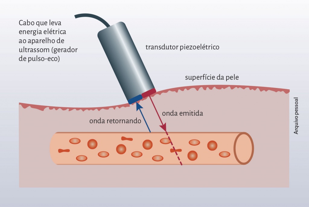 engenharia biomedica transdutor