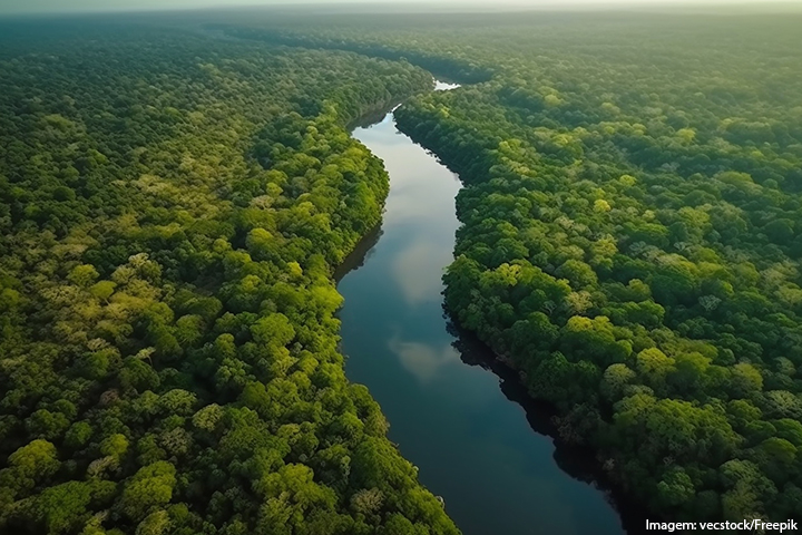 Floresta sendo cortada por um rio