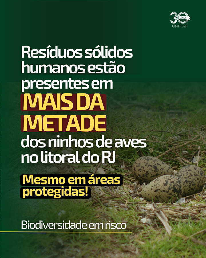 A imagem compartilha uma mensagem de alerta ambiental da Unifesp (Universidade Federal de São Paulo), destacando o impacto da poluição por resíduos sólidos humanos em ninhos de aves no litoral do Rio de Janeiro. O texto diz:  "Resíduos sólidos humanos estão presentes em MAIS DA METADE dos ninhos de aves no litoral do RJ Mesmo em áreas protegidas! Biodiversidade em risco"  O foco está na ameaça à biodiversidade, com ênfase no fato alarmante de que mais de 50% dos ninhos contêm resíduos, mesmo em zonas teoricamente protegidas. A imagem de ovos de ave em meio a galhos reforça o contraste entre a natureza e a poluição causada pelo ser humano.