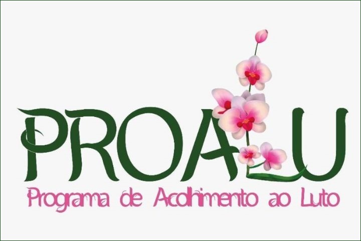 Marca gráfica do Proalu; escritos em verde e rosa. A letra L é uma flor