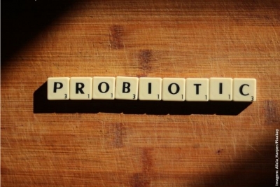 Peças com letras formando a palavra Probiotic