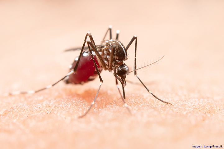 (Imagem ilustrativa) Foto em close de um mosquito picando a pele de uma pessoa