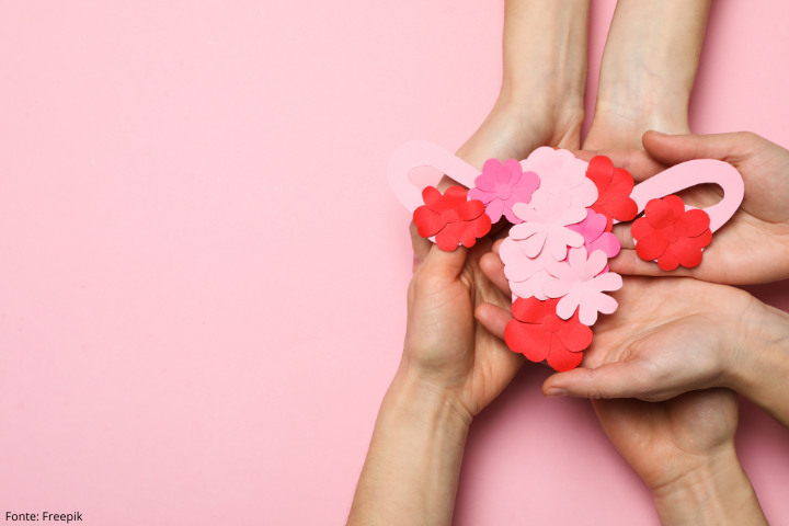 Imagem mostra mãos segurando flores no formato do aparelho reprodutor feminino