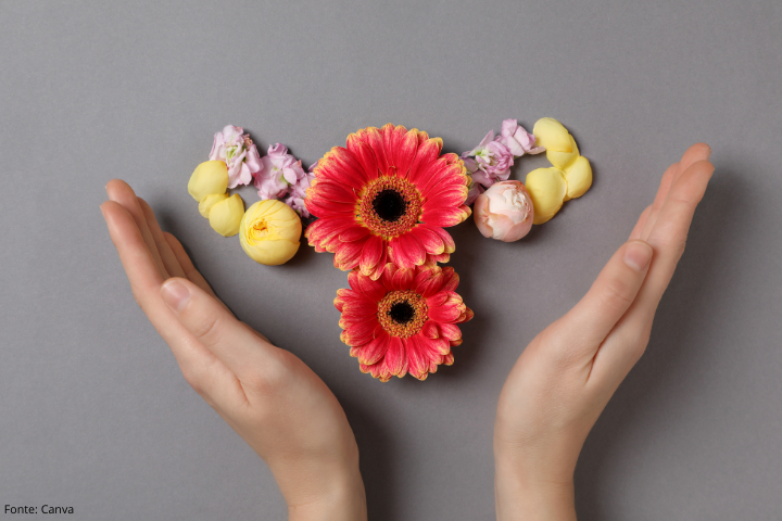 Imagem mostra mãos segurando flores no formato do aparelho reprodutor feminino